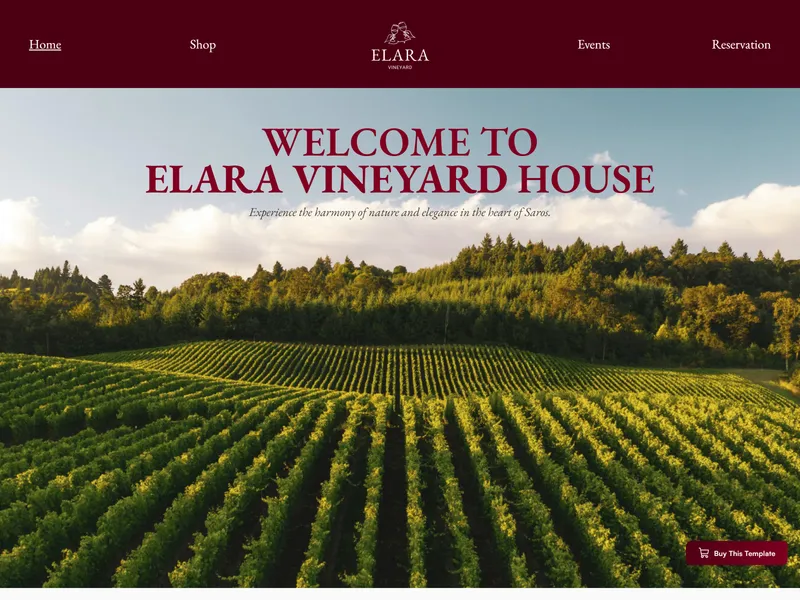 Vineyard